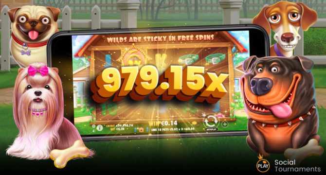 The dog house игровой автомат. Dog house слот. дог хаус казино. собаки казино. собачки слот.